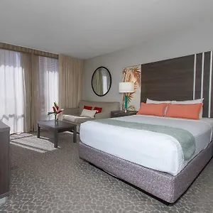 Modern Across From Hilton Lagoon Pw920 Apartment *