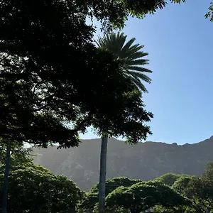 Private Bedroom In Shared Waikiki Area 30 Day Minimum 招待所 檀香山