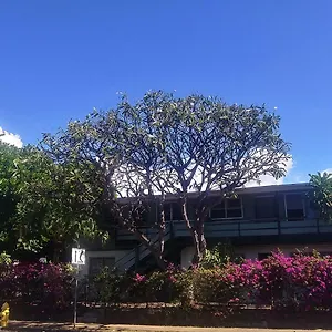 Plumeria Alternative Хостел Гонолулу